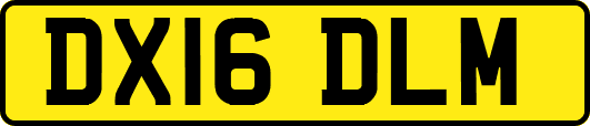 DX16DLM