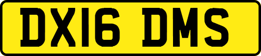 DX16DMS