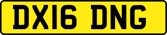 DX16DNG