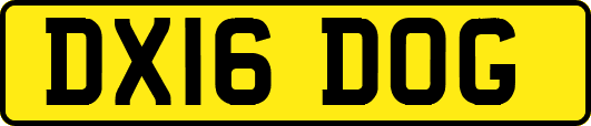 DX16DOG