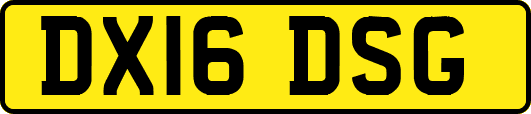 DX16DSG