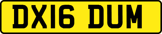 DX16DUM