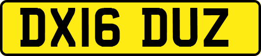 DX16DUZ
