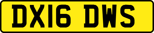 DX16DWS