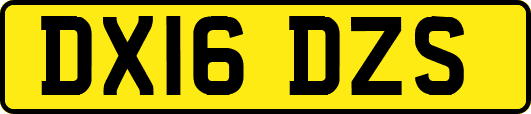 DX16DZS