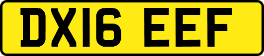 DX16EEF