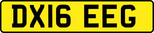DX16EEG