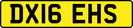 DX16EHS