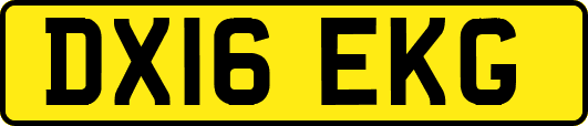 DX16EKG