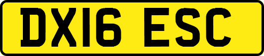 DX16ESC