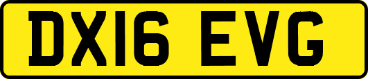 DX16EVG