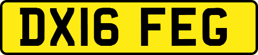 DX16FEG
