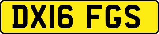 DX16FGS