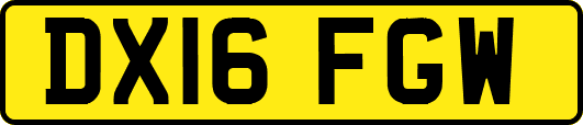 DX16FGW