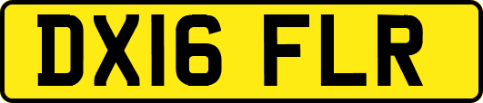 DX16FLR