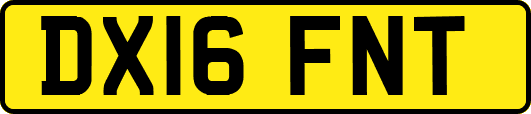 DX16FNT