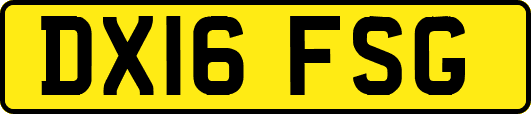 DX16FSG