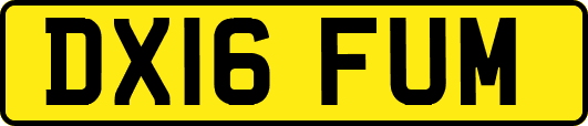 DX16FUM