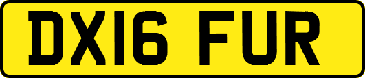 DX16FUR