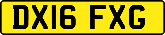 DX16FXG
