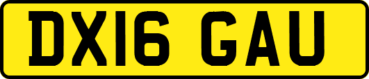 DX16GAU