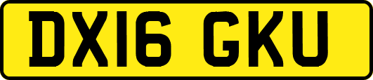 DX16GKU