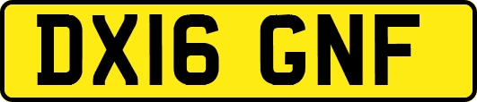 DX16GNF