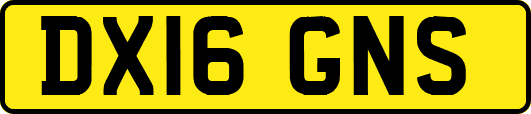 DX16GNS
