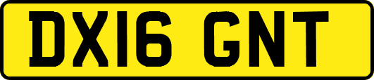 DX16GNT