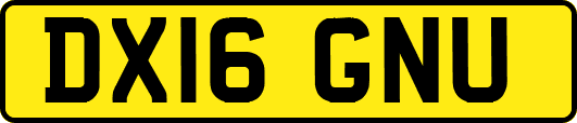 DX16GNU