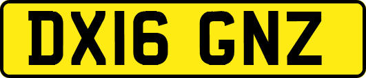 DX16GNZ