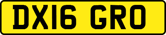 DX16GRO