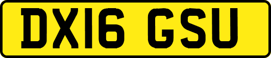 DX16GSU
