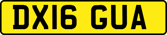 DX16GUA