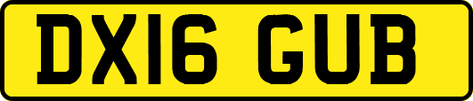 DX16GUB