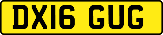 DX16GUG