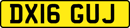 DX16GUJ