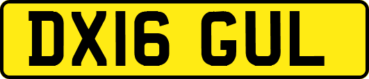 DX16GUL