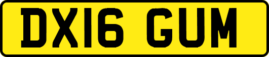 DX16GUM