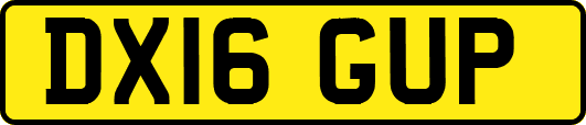 DX16GUP