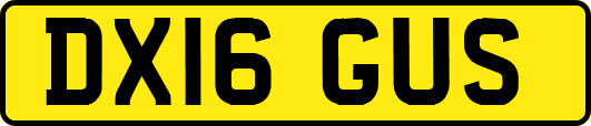 DX16GUS