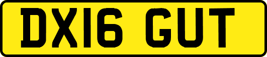DX16GUT