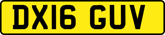 DX16GUV
