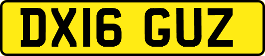 DX16GUZ