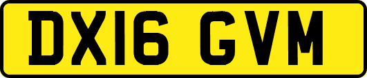 DX16GVM