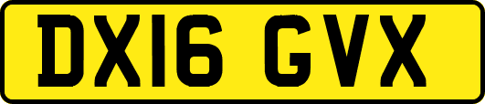DX16GVX