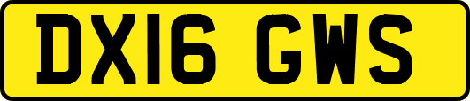 DX16GWS
