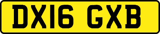 DX16GXB