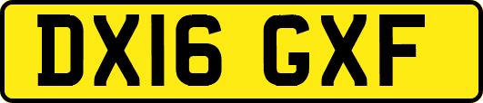DX16GXF