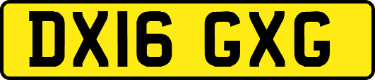 DX16GXG
